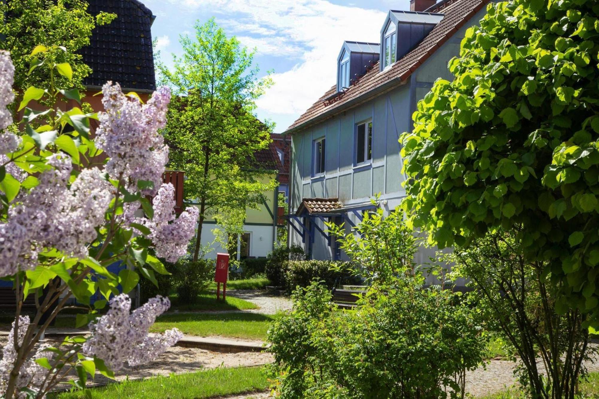 Holiday Complex Beech Resort Fleesensee G Hren Lebbin Göhren-Lebbin Exterior foto